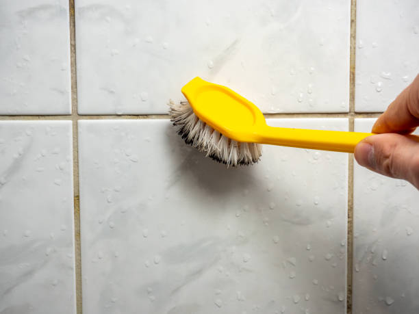 Best Emergency Mold Removal  in Dalton, PA