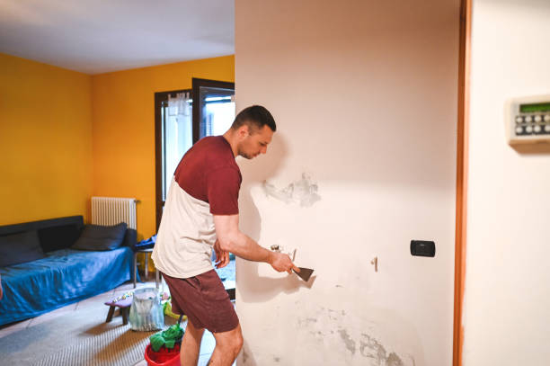 Best Mold Remediation  in Dalton, PA